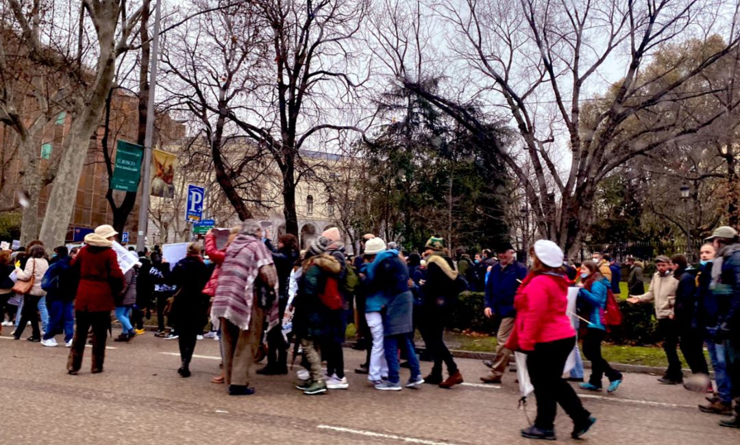 La concentración de negacionistas en Madrid. La concentración de negacionistas en Madrid.