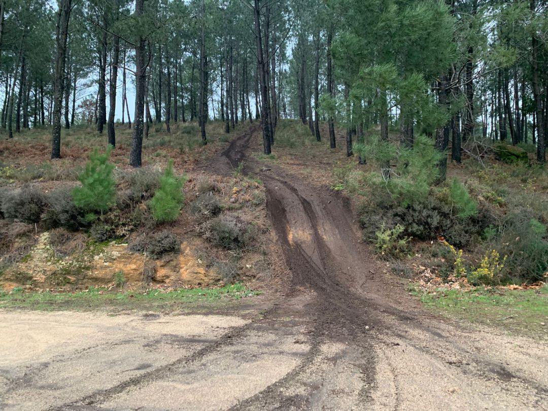 Consecuencias del paso de quads y vehículos todoterreno por pistas forestales de los montes de O Porriño, Ponteareas y Salceda. Consecuencias del paso de quads y vehículos todoterreno por pistas forestales de los montes de O Porriño, Ponteareas y Salceda.