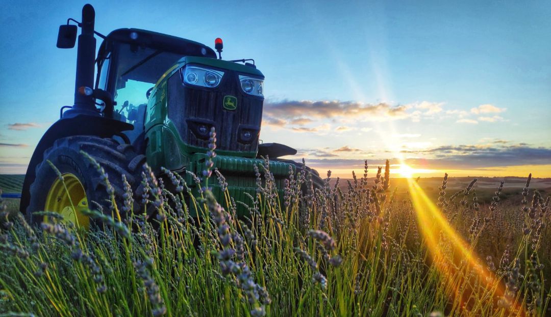 El tractor de Rodrigo Carrillo en sus campos de lavanda de Villares del Saz (Cuenca). El tractor de Rodrigo Carrillo en sus campos de lavanda de Villares del Saz (Cuenca).