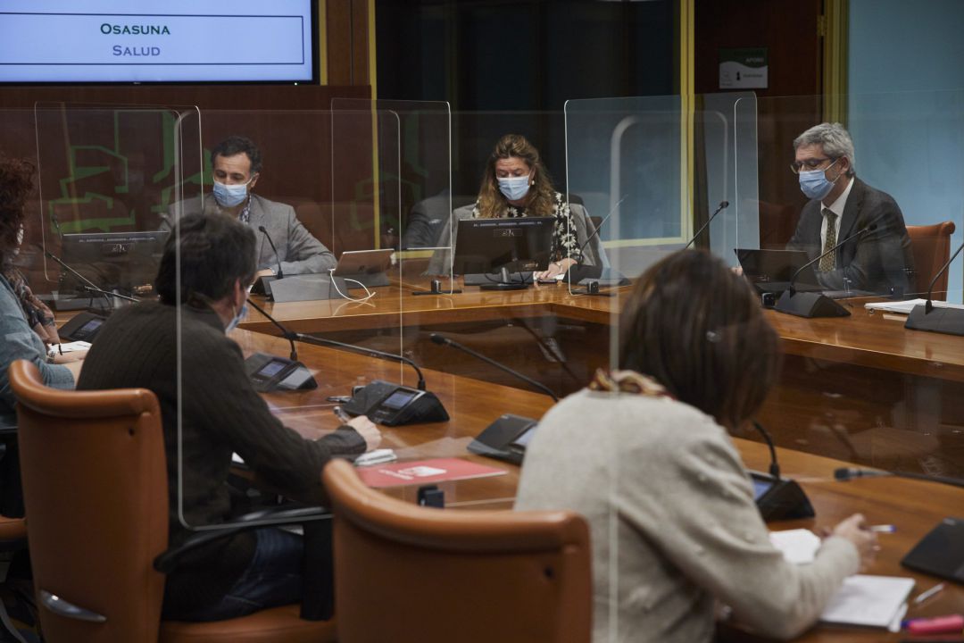 La consejera de Salud del Gobierno Vasco, Gotzone Sagardui, en el parlamento vasco La consejera de Salud del Gobierno Vasco, Gotzone Sagardui, en el parlamento vasco