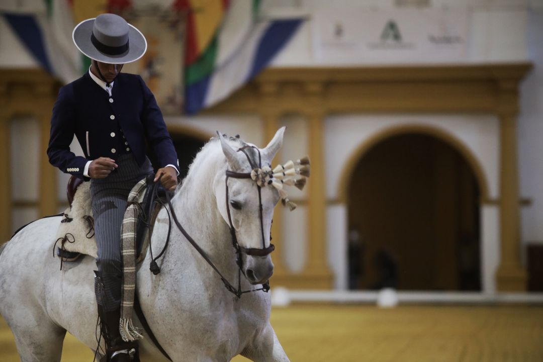 Un jinete de la Real Escuela Andaluza del Arte Ecuestre Un jinete de la Real Escuela Andaluza del Arte Ecuestre