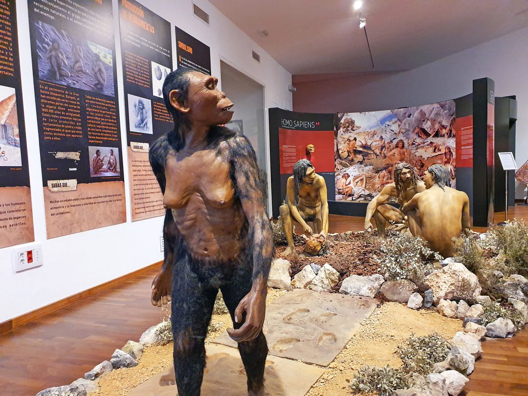 Una de las exposiciones que ha acogido Paleomagina Una de las exposiciones que ha acogido Paleomagina