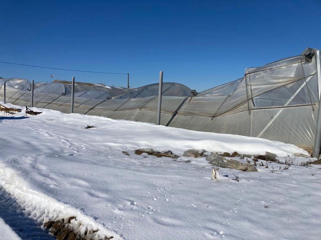 Así quedaron algunos invernaderos del Parque Agrario tras el temporal de nieve que provocó 'Filomena' Así quedaron algunos invernaderos del Parque Agrario tras el temporal de nieve que provocó 'Filomena'