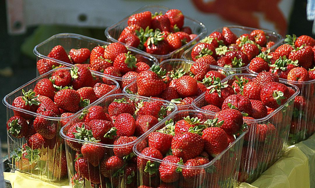 Fresas recién cortadas Fresas recién cortadas