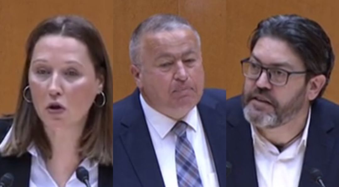 Los senadores Lourdes Retuerto (PSOE), Francisco Bernabé (PP) y Miguel Sánchez (Ciudadanos) Los senadores Lourdes Retuerto (PSOE), Francisco Bernabé (PP) y Miguel Sánchez (Ciudadanos)