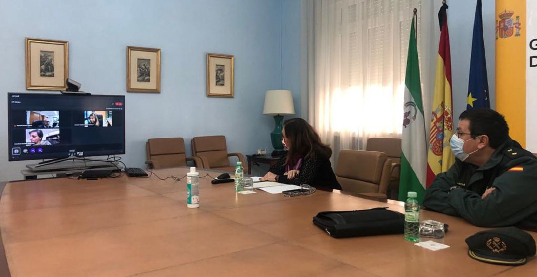 Reunión telemática de coordinacion de la campaña de recoleccion de aceituna, Subdelegación del Gobierno Reunión telemática de coordinacion de la campaña de recoleccion de aceituna, Subdelegación del Gobierno