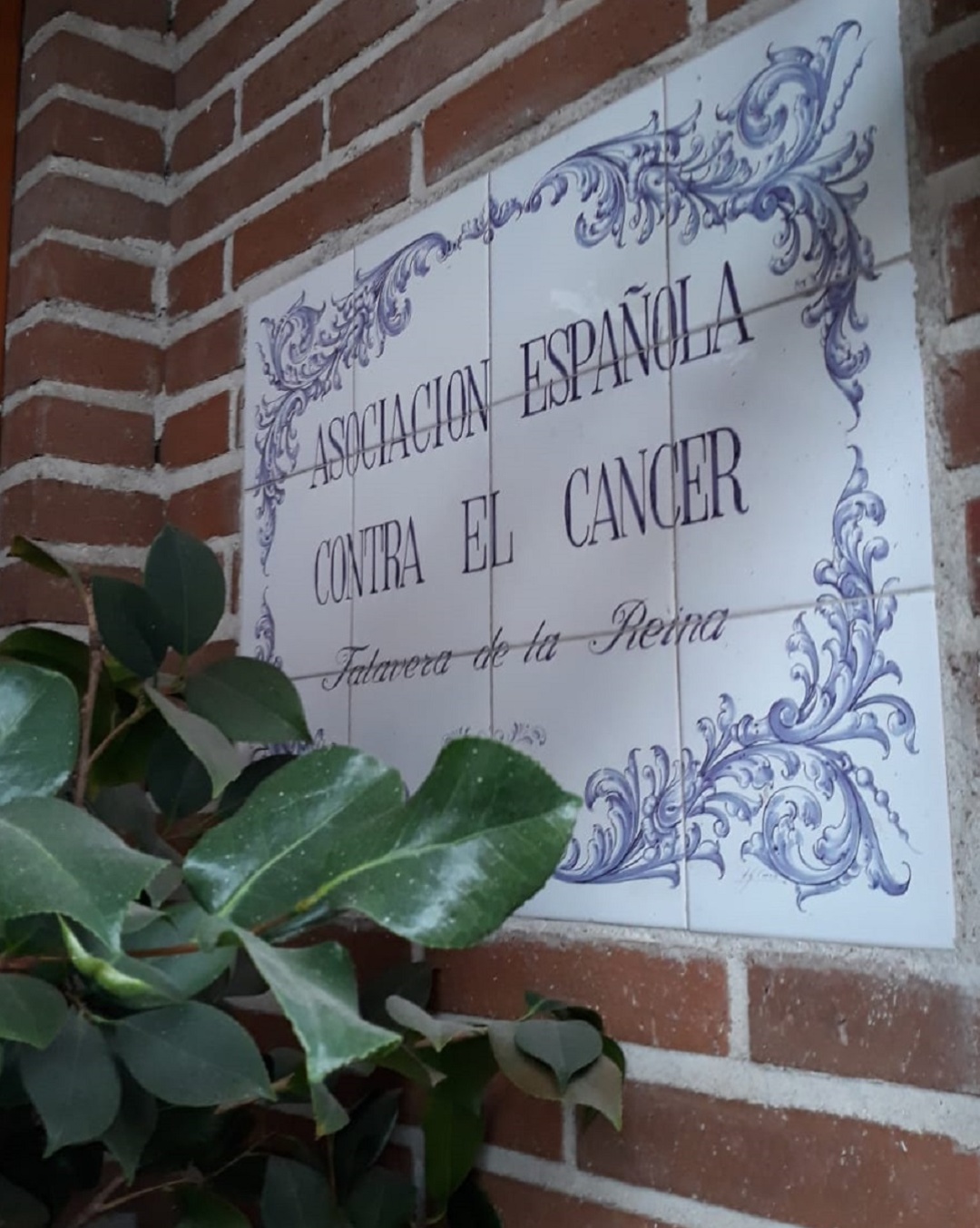 4 de febrero, Día Mundial contra el Cáncer 4 de febrero, Día Mundial contra el Cáncer