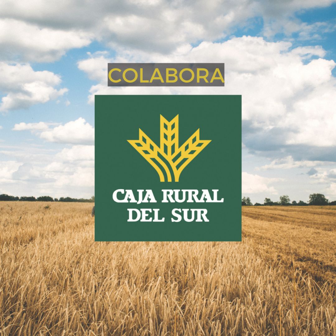 La Ruta de los Esenciales. Con la colaboración de Caja Rural del Sur La Ruta de los Esenciales. Con la colaboración de Caja Rural del Sur
