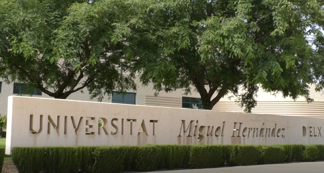 Universidad Miguel Hernández de Elche Universidad Miguel Hernández de Elche