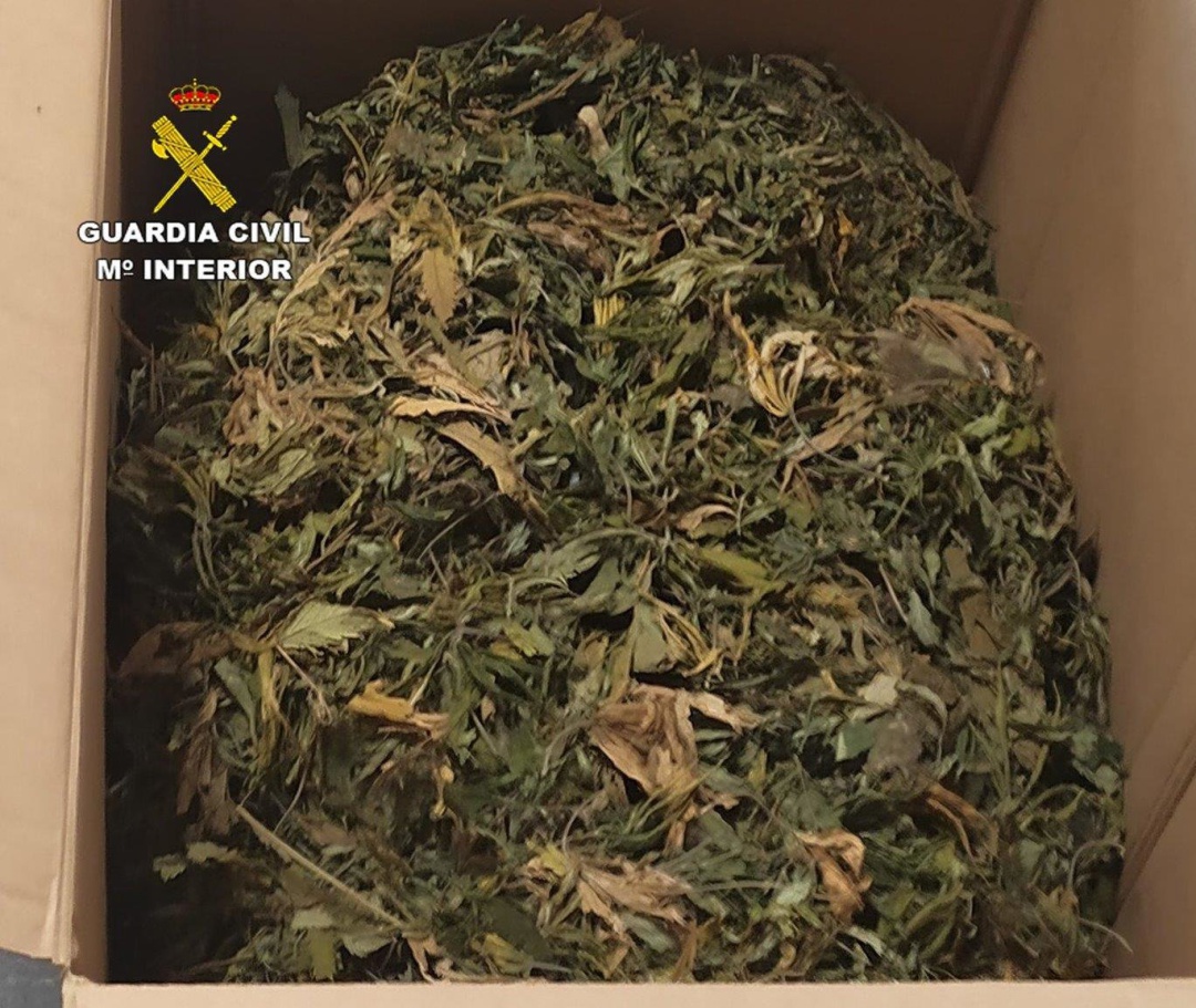 Marihuana incautada por la Guardia Civil
Marihuana incautada por la Guardia Civil