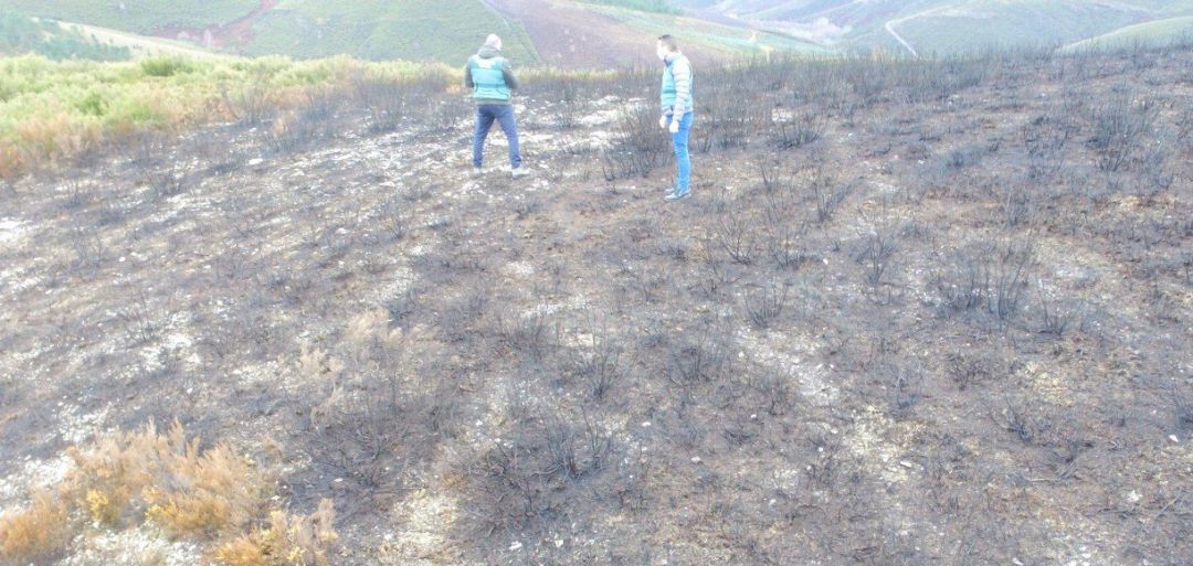 Los incendios ocurrieron entre febrero de 2020 y enero de 2021 Los incendios ocurrieron entre febrero de 2020 y enero de 2021