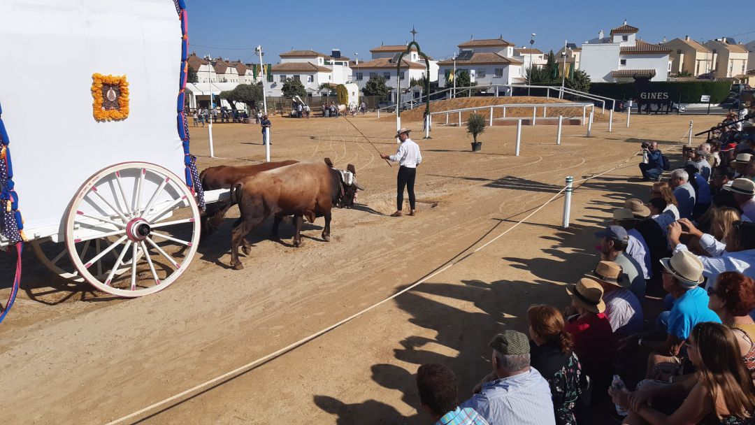 Imagen de la celebración de "Una Pará en Gines" en 2019 Imagen de la celebración de "Una Pará en Gines" en 2019