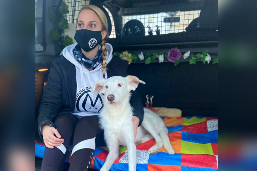 Merche, de Cuido lo que más quieres", en el taxi para mascotas Merche, de Cuido lo que más quieres", en el taxi para mascotas