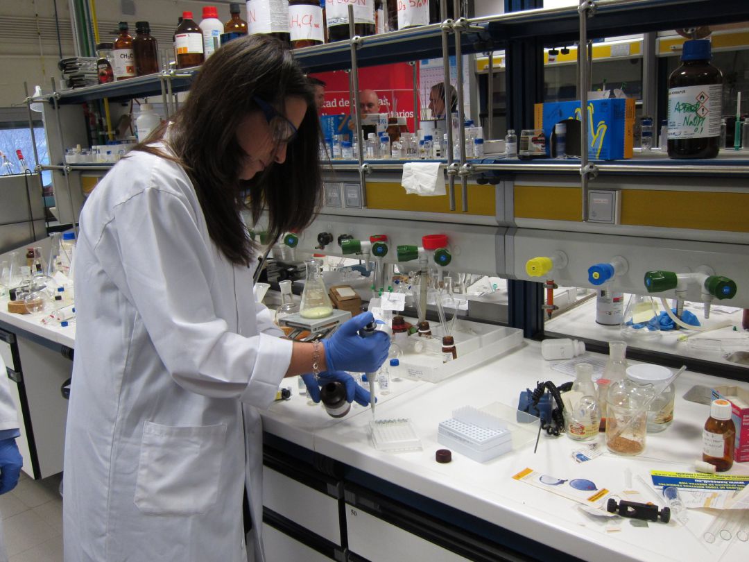 Investigadores de la Universidad Investigadores de la Universidad