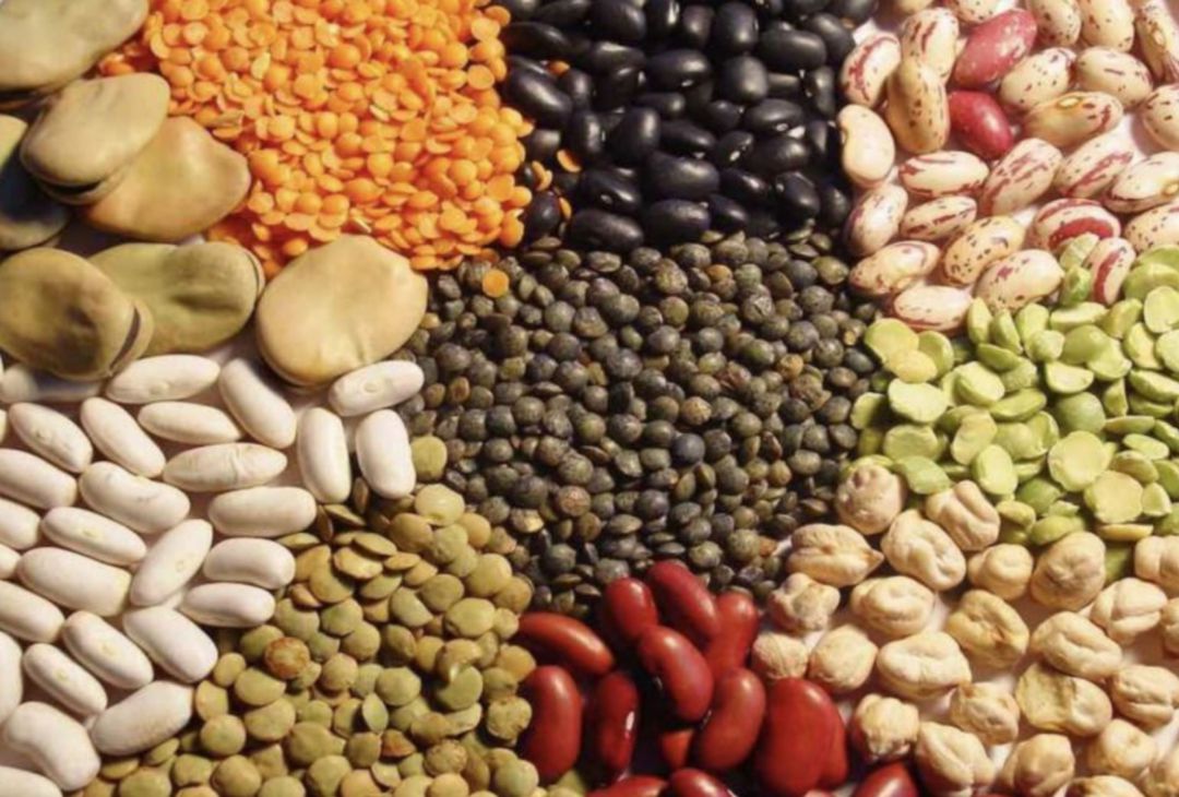 Saludables, ricas y económicas, las leguminosas están más de moda que nunca Saludables, ricas y económicas, las leguminosas están más de moda que nunca