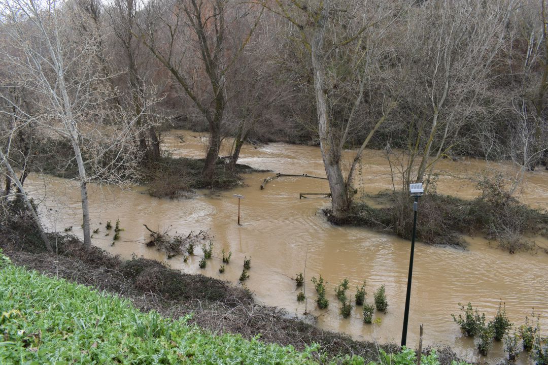 Senda fluvial del Henares inundada Senda fluvial del Henares inundada