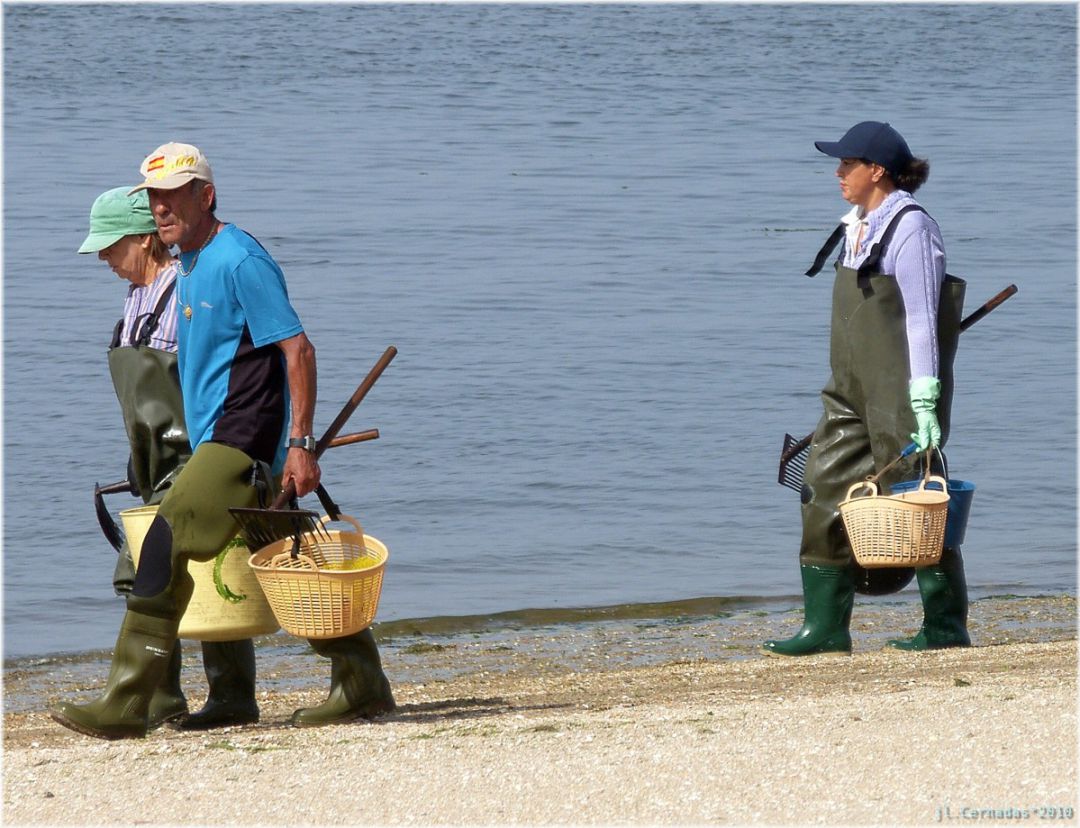 Mariscadores Mariscadores
