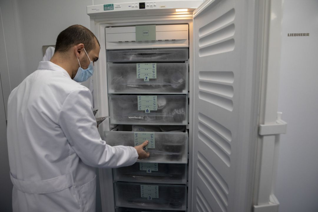 Un laboratorio con muestras. Un laboratorio con muestras.