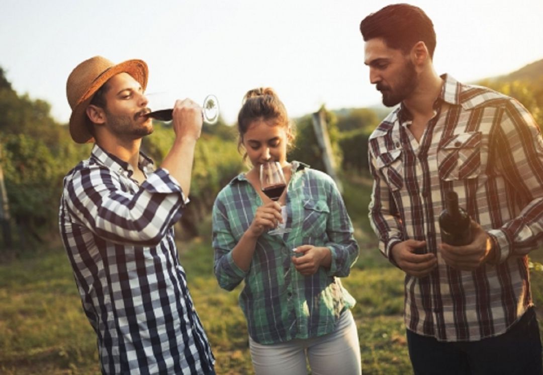 La Ribera del Duero puede ser un buen destino MICE La Ribera del Duero puede ser un buen destino MICE