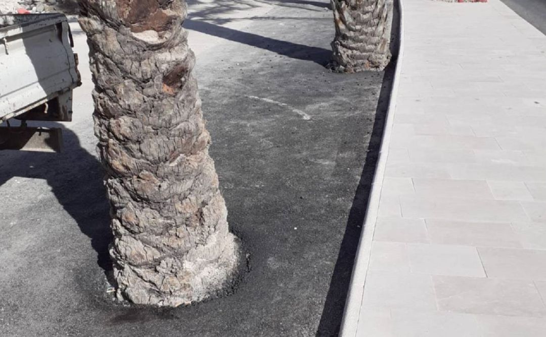 Hormigón en las palmeras de Virgen de la Cabeza Hormigón en las palmeras de Virgen de la Cabeza