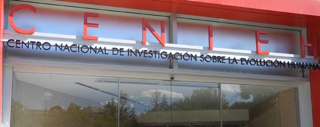 Cenieh Cenieh