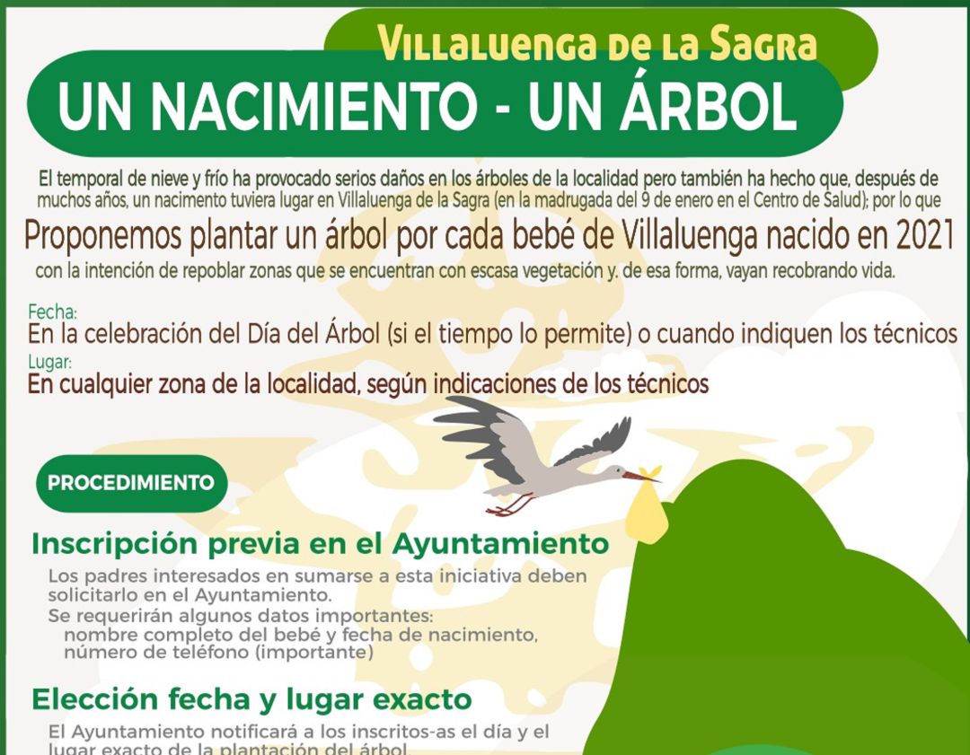 Un nacimiento - un árbol Un nacimiento - un árbol