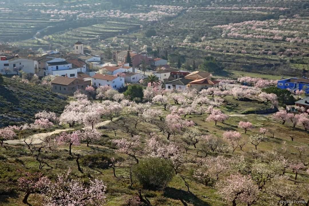 El Consell aprueba el topónimo Fageca para este municipio de El Comtat. El Consell aprueba el topónimo Fageca para este municipio de El Comtat.