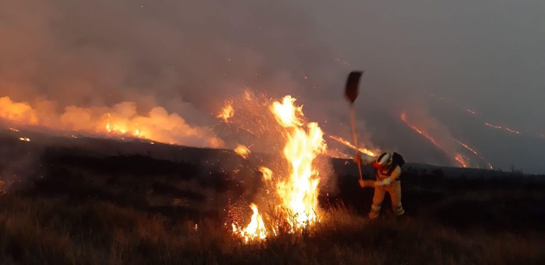 Incendio forestal. Incendio forestal.