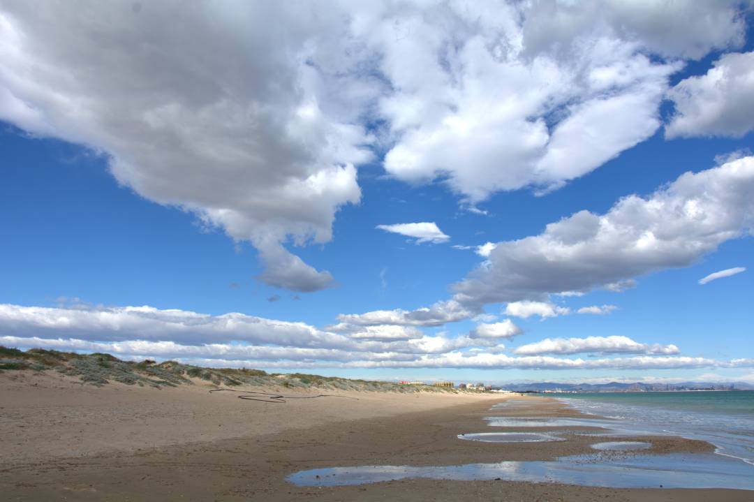 Playa de El Saler de València, dentro del parque natural de la Albufera. Playa de El Saler de València, dentro del parque natural de la Albufera.