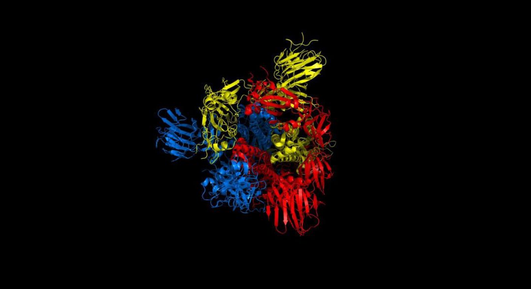 La pérdida de biodiversidad facilita que los virus como el SARS-Cov-2 salten de una especie a otra La pérdida de biodiversidad facilita que los virus como el SARS-Cov-2 salten de una especie a otra