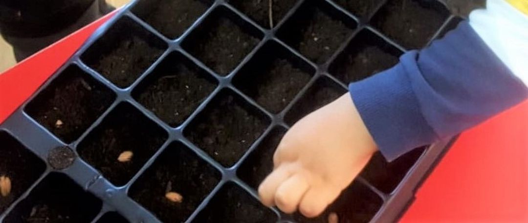 Un niño aprende a plantar especies autóctonas Un niño aprende a plantar especies autóctonas