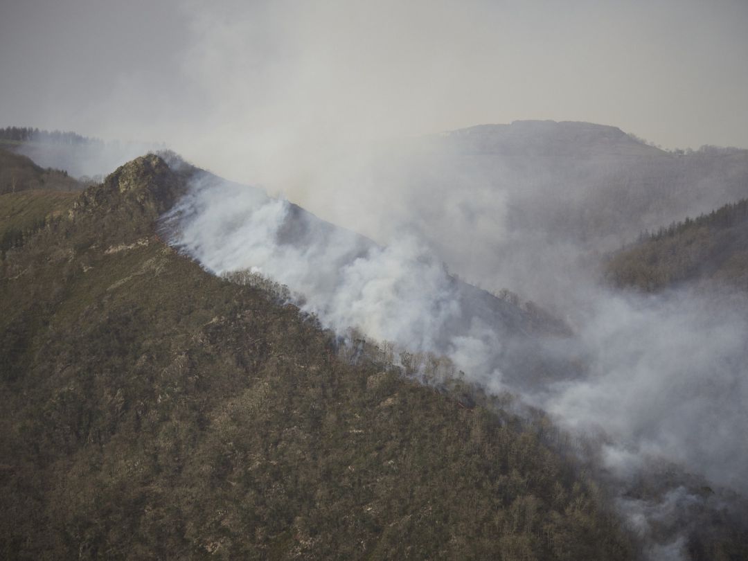 Parte del incendio situado en terreno de Guipúzcoa en AuzoBerri Parte del incendio situado en terreno de Guipúzcoa en AuzoBerri