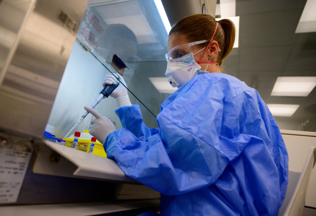 Personal sanitario trabajando con muestras de pruebas PCR. Personal sanitario trabajando con muestras de pruebas PCR.