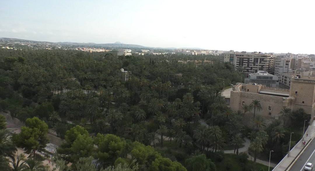 Ciudad de Elche Ciudad de Elche