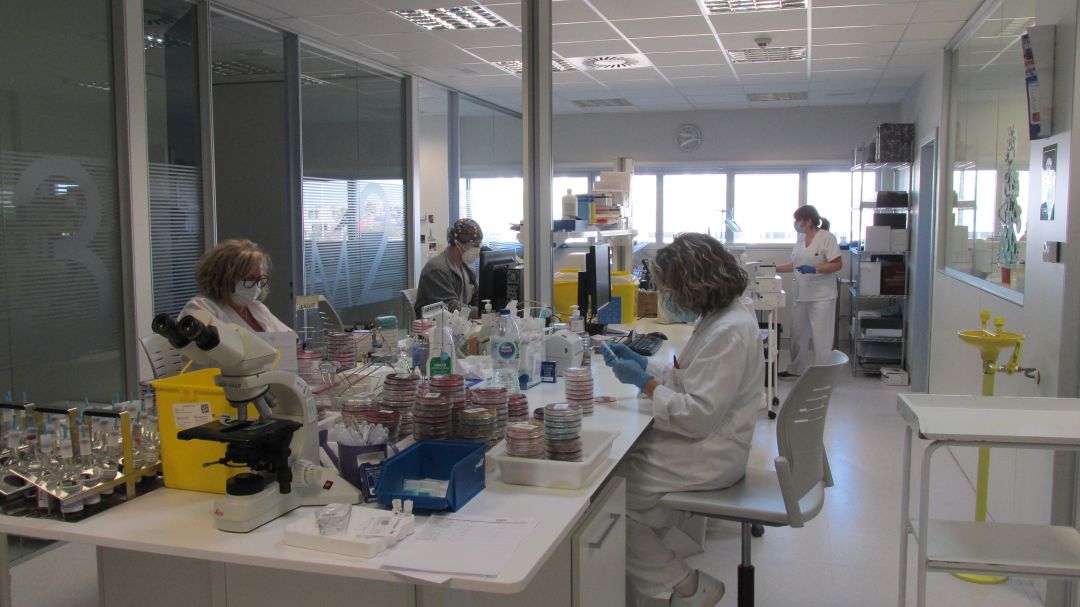 Zona de microbiología del hospital comacal Francesc de Borja Zona de microbiología del hospital comacal Francesc de Borja