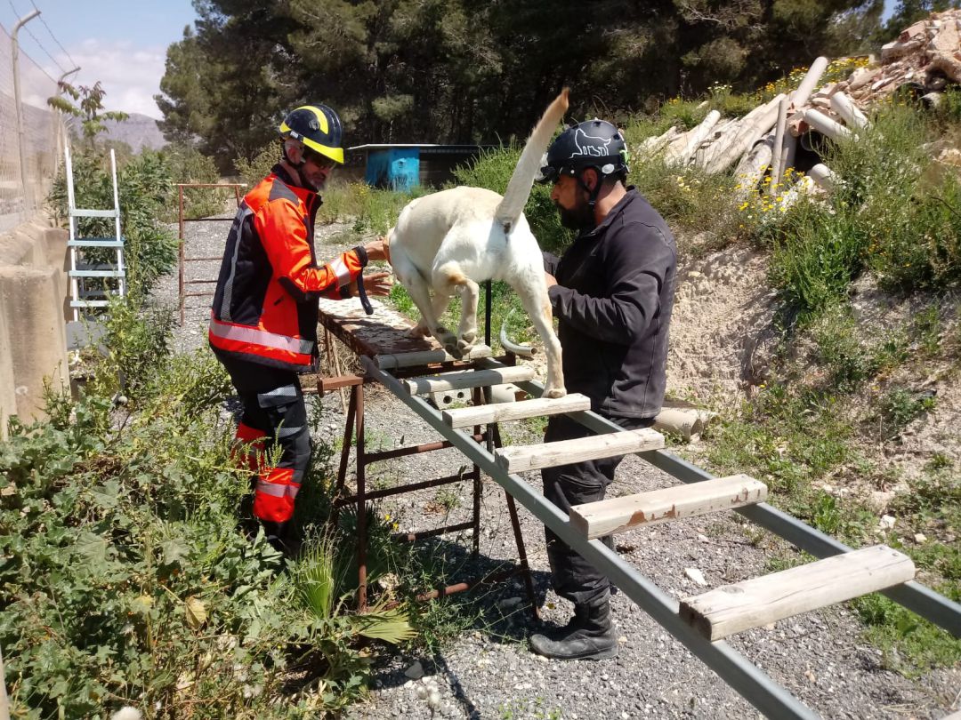 Unidad canina de los bomberos de Ibiza Unidad canina de los bomberos de Ibiza