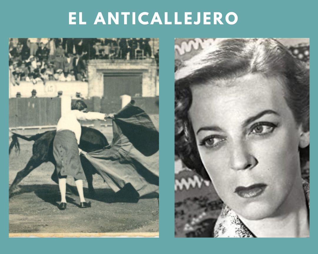 El Anticallejero El Anticallejero