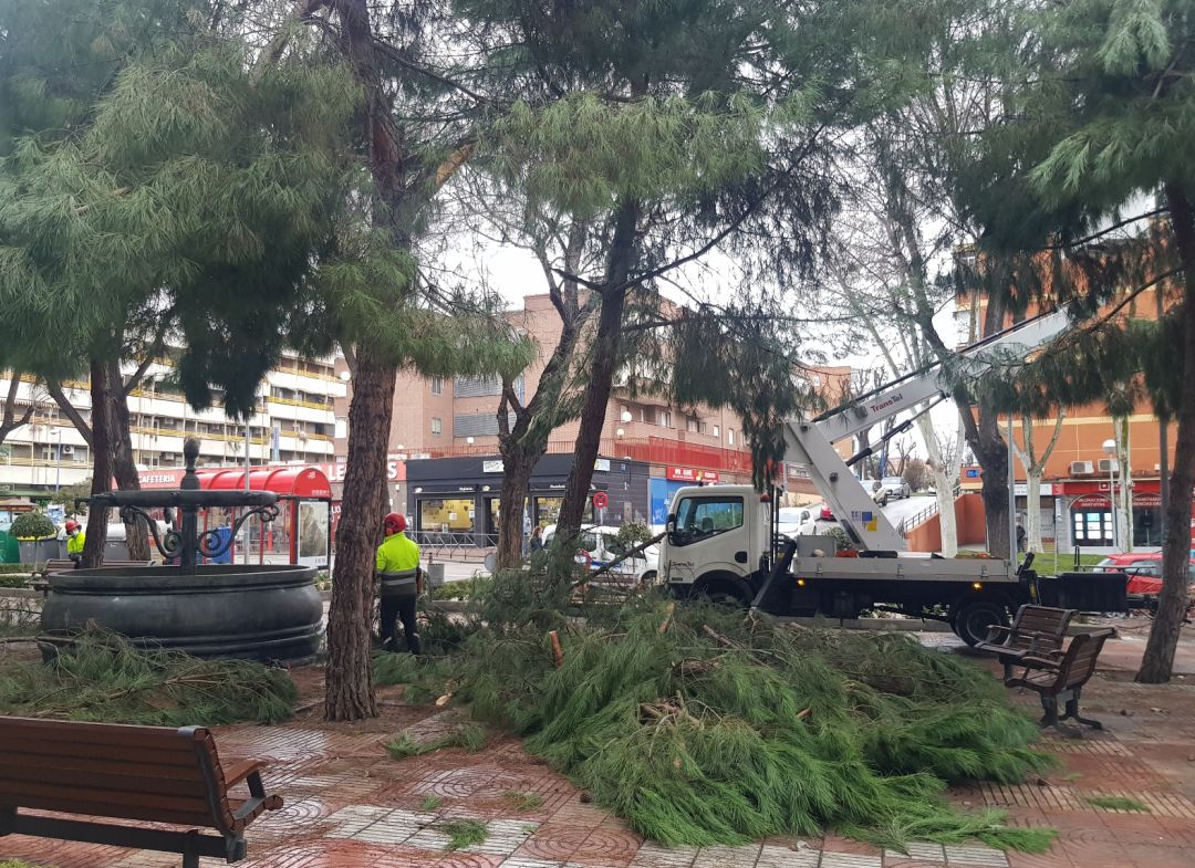 El Departamento de Parques y Jardines de Leganés ha actuado en este tiempo en 5.343 actuaciones en las ramas que suponían un riesgo para los vecinos de Leganés, donde hay censados un total de 70.000 árboles. El Departamento de Parques y Jardines de Leganés ha actuado en este tiempo en 5.343 actuaciones en las ramas que suponían un riesgo para los vecinos de Leganés, donde hay censados un total de 70.000 árboles.