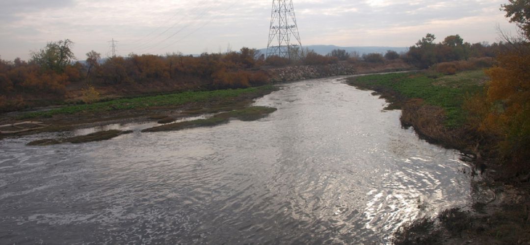 La iniciativa quiere limpiar el cauce del río Jarama La iniciativa quiere limpiar el cauce del río Jarama