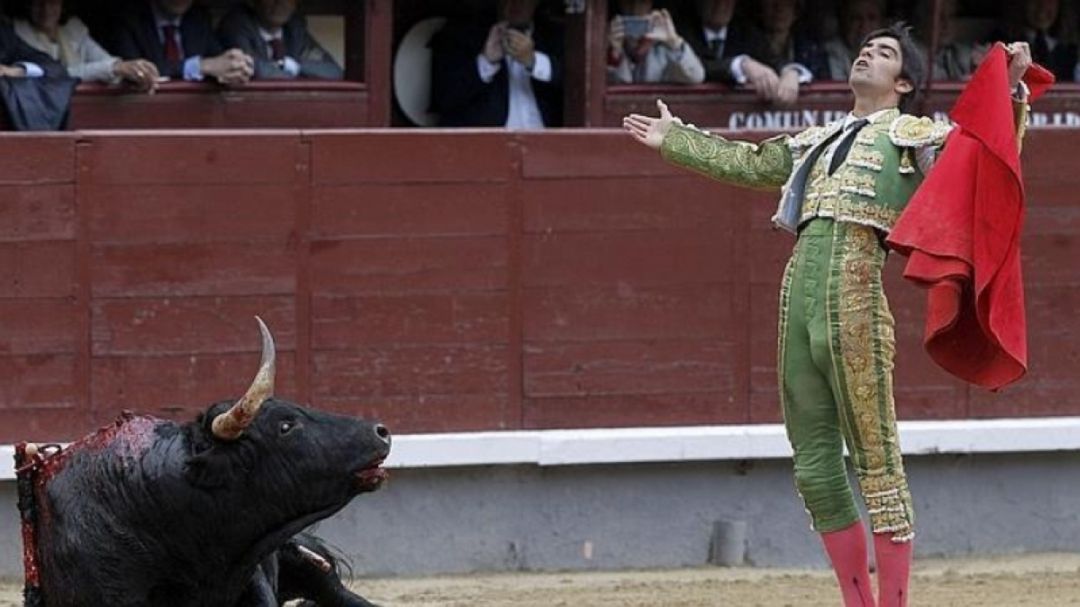 Supremo Toros Arte Supremo Toros Arte
