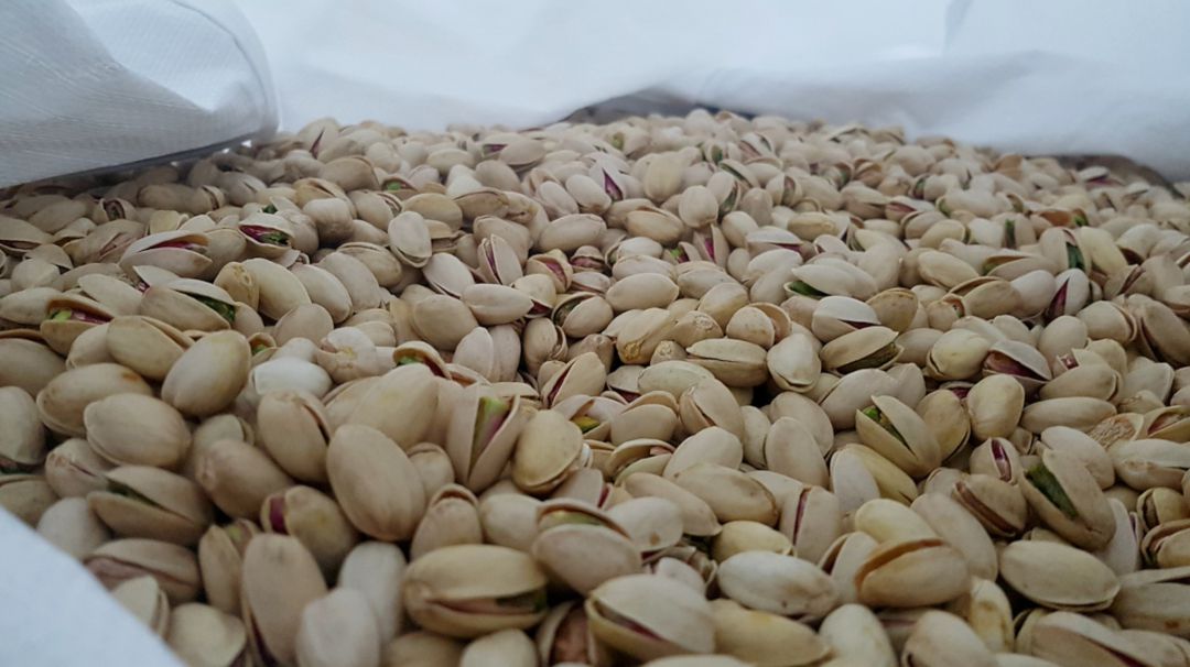 Pistachos Pistachos