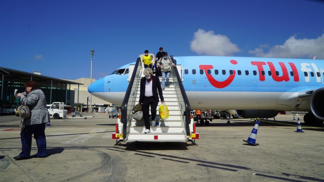 tui tui