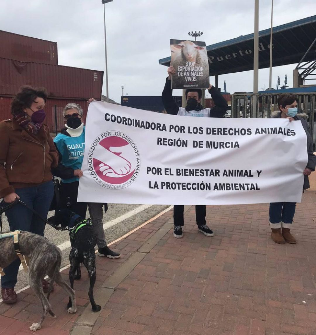 Protesta en el puerto de Cartagena Protesta en el puerto de Cartagena
