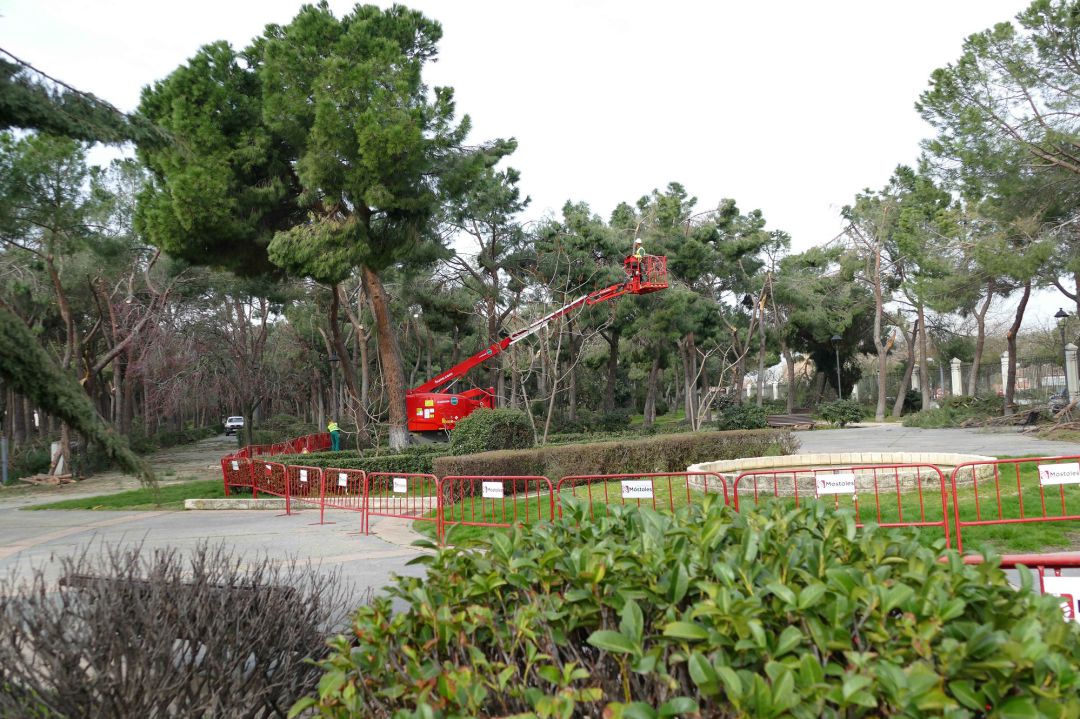 Balizado de parques y jardines Finca Liana Balizado de parques y jardines Finca Liana