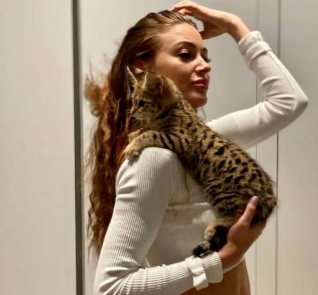 Savannah, de año y medio de edad, es parecido a un leopardo y desapareció el jueves Savannah, de año y medio de edad, es parecido a un leopardo y desapareció el jueves