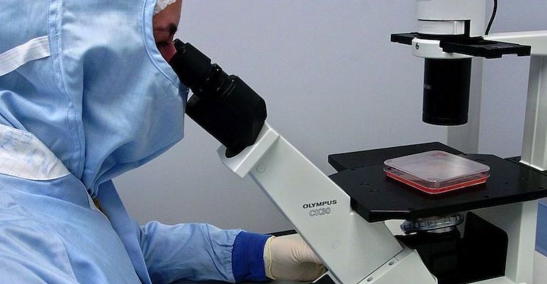 Los proyectos de investigación son fundamentales para detectar la procedencia de las enfermedades raras Los proyectos de investigación son fundamentales para detectar la procedencia de las enfermedades raras