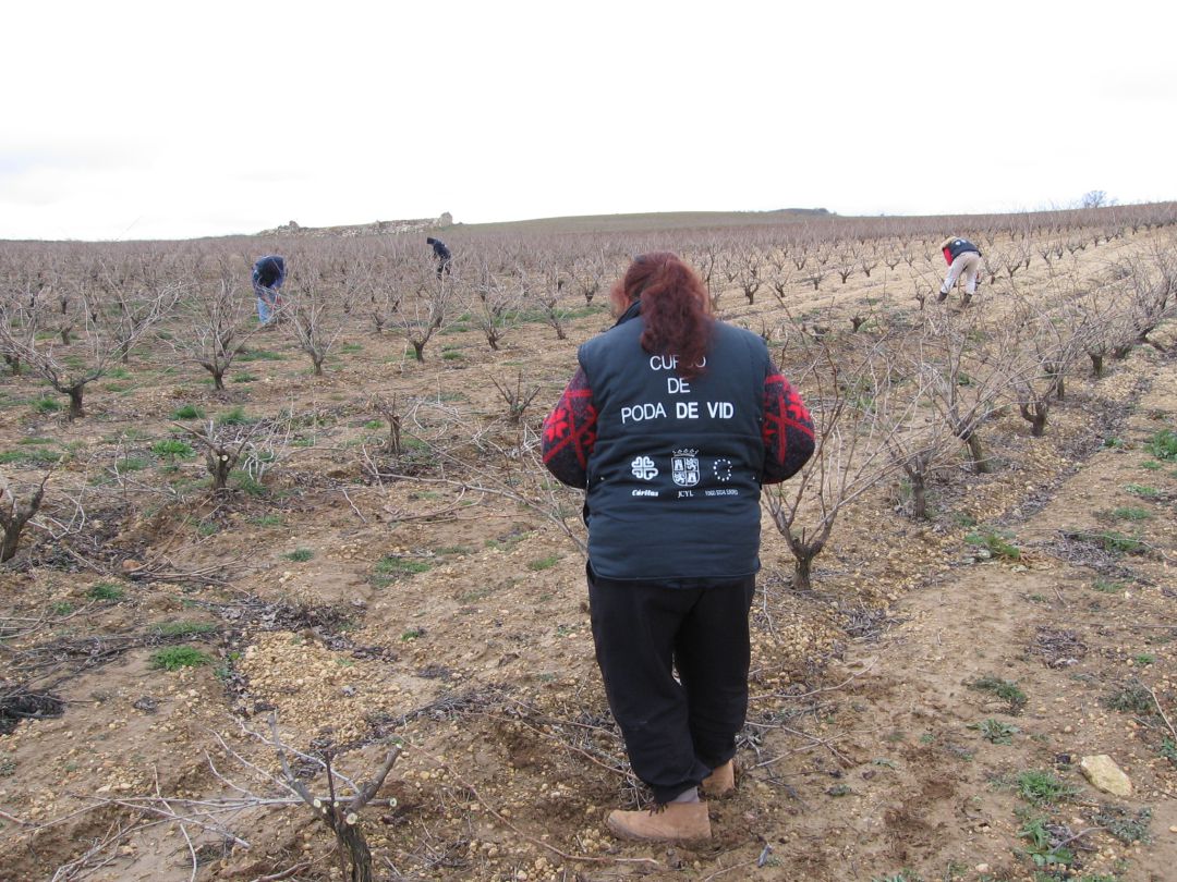 Las labores agrícolas salvan los datos del mes de febrero Las labores agrícolas salvan los datos del mes de febrero