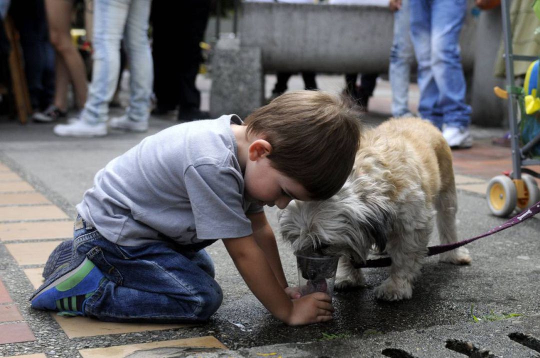 La unión entre pequeños y animales siempre es fuerte La unión entre pequeños y animales siempre es fuerte