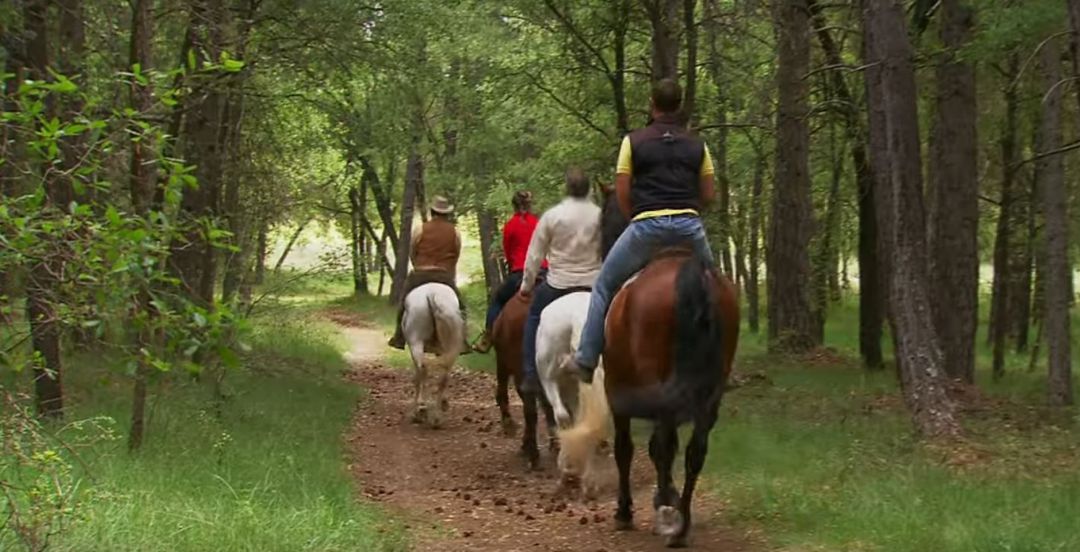 Rutas a caballo por la Serranía de Cuenca. Rutas a caballo por la Serranía de Cuenca.