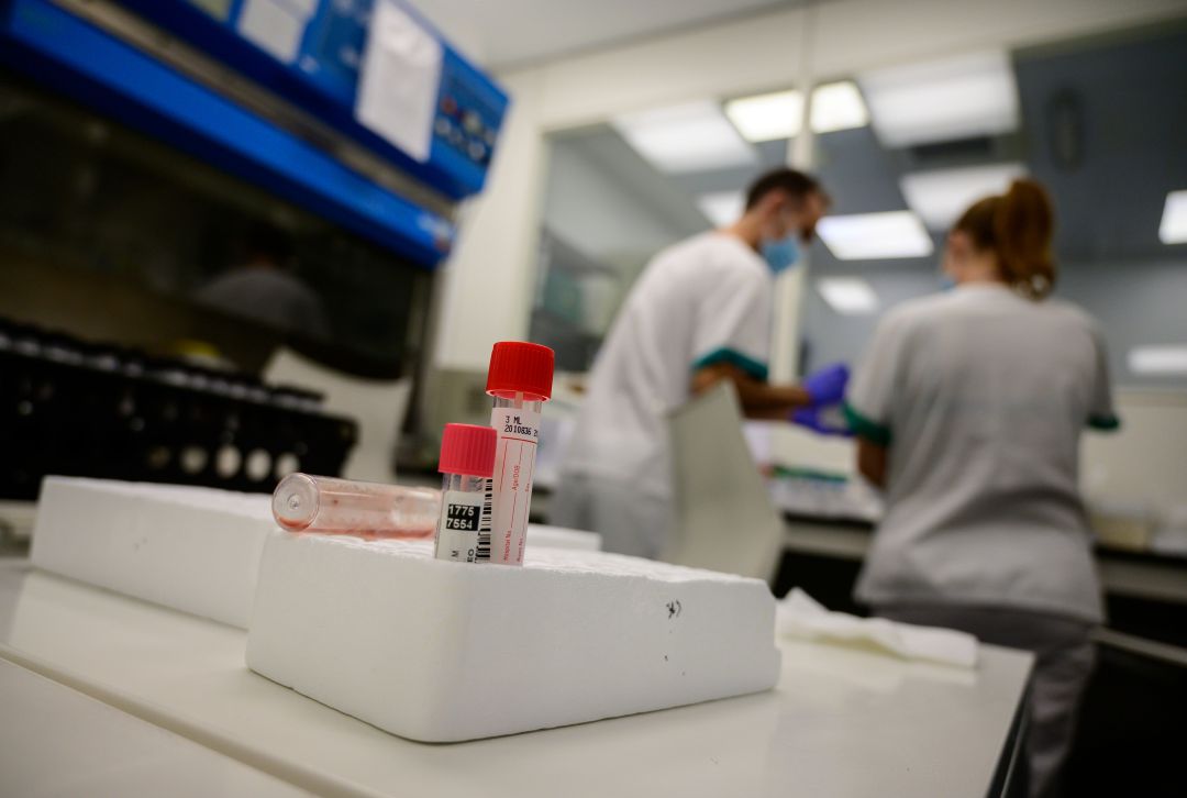 Muestras de pruebas PCR con dos sanitarios al fondo. Muestras de pruebas PCR con dos sanitarios al fondo.